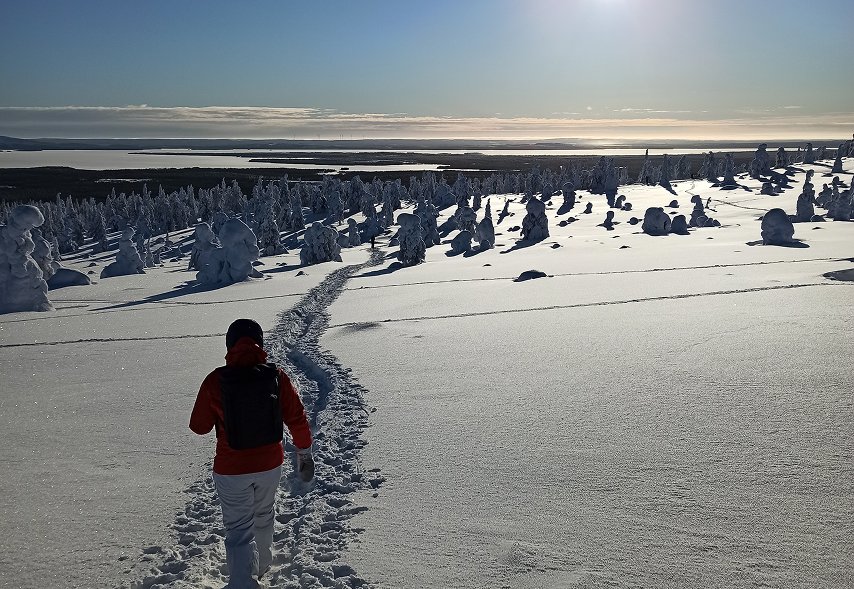 Riisitunturi National Park-2